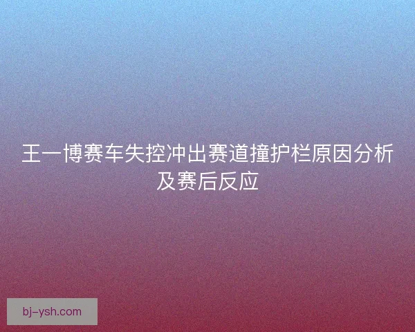 王一博赛车失控冲出赛道撞护栏原因分析及赛后反应