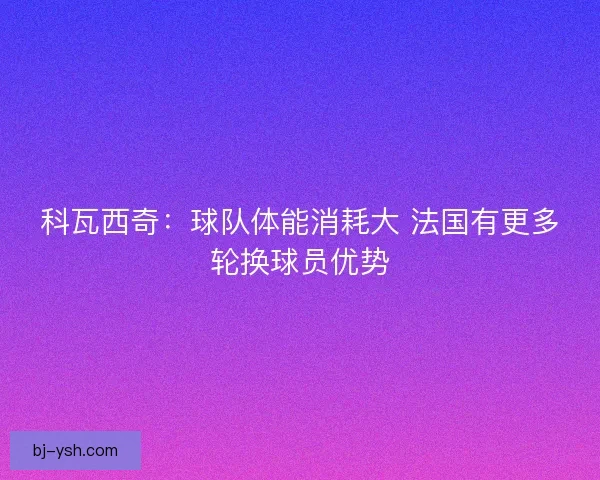 科瓦西奇：球队体能消耗大 法国有更多轮换球员优势