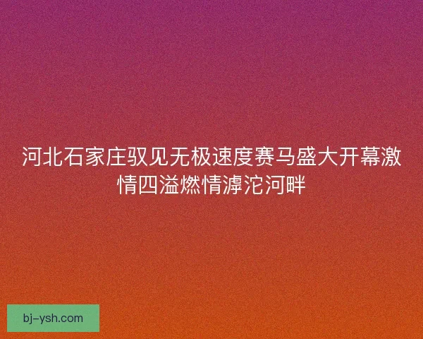 河北石家庄驭见无极速度赛马盛大开幕激情四溢燃情滹沱河畔